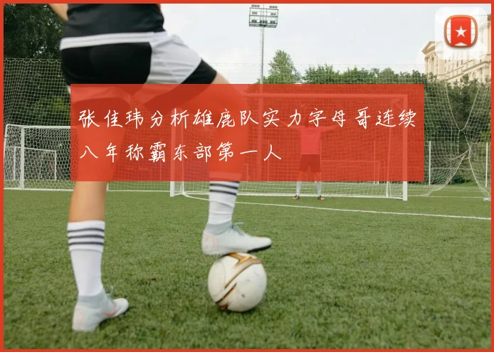 张佳玮分析雄鹿队实力字母哥连续八年称霸东部第一人