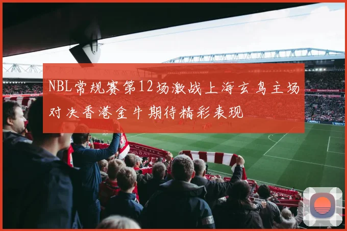 NBL常规赛第12场激战上海玄鸟主场对决香港金牛期待精彩表现